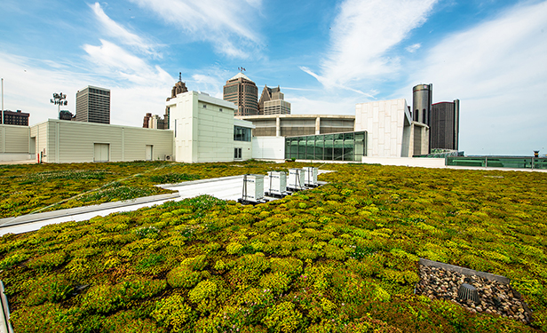 TCF Center green roof