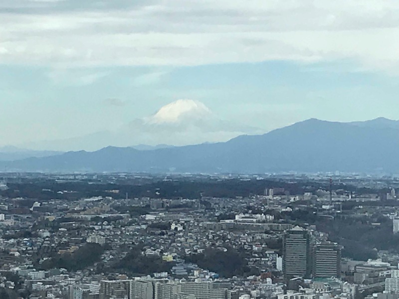 Mt Fuji from Park Royal Hotel Yokohama