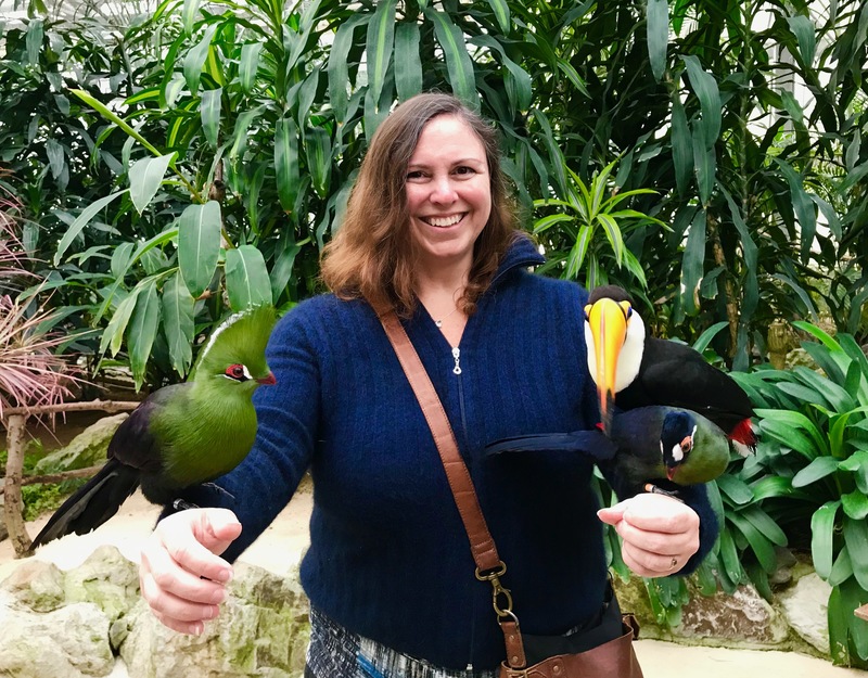 Matsue Vogel Park bird feeding