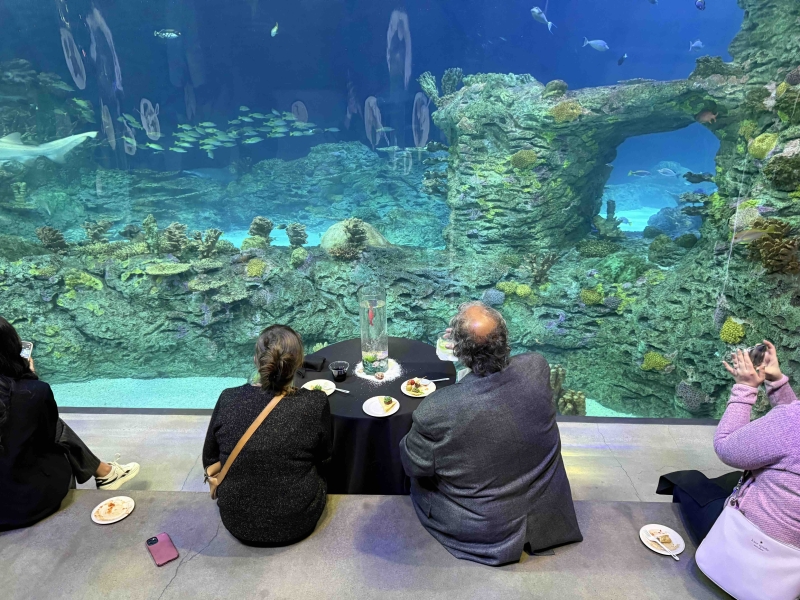 kansas city aquarium