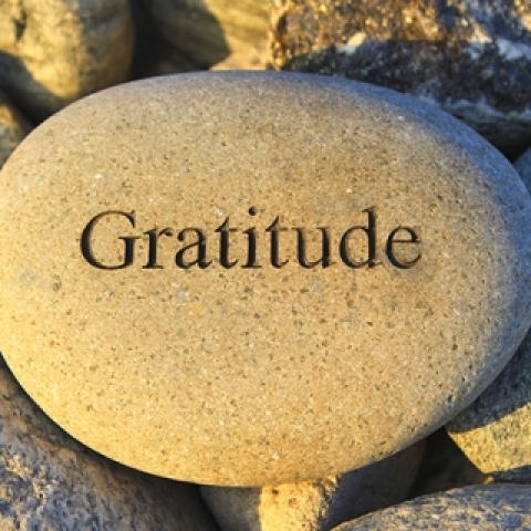 rock that says "Gratitude"